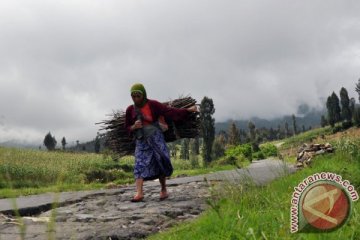 Gunung Sindoro terus keluarkan energi 