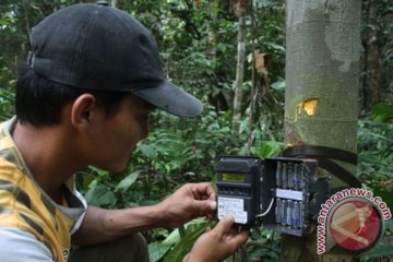 TNMB pasang "camera trap" telusuri harimau jawa