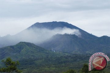 Gempa tremor harmonik Gunung Ijen meningkat 