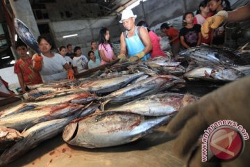 Perjanjian internasional dinilai hambat perdagangan ikan