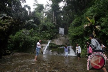 Toba Samosir miliki hutan potensial