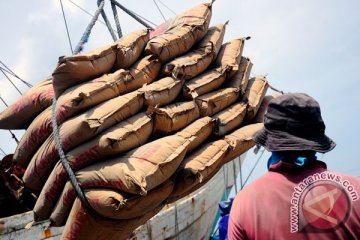 Konsumsi semen diprediksi 48,15 juta ton