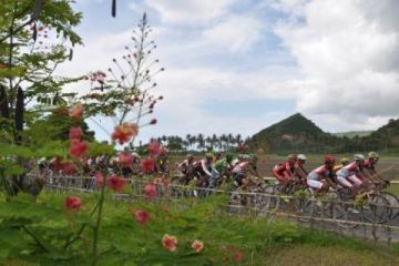 TDLS ETAPE II. 