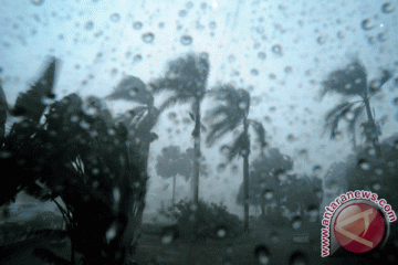 Hujan deras dan angin kencang landa Pekanbaru 