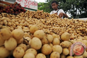 Sulawesi Barat miliki ratusan produk unggulan makanan