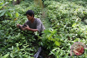 Puncak Hari Pers dicanangkan penanaman 1.000 pohon