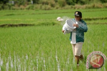 Gubernur Jateng usul perusda jadi distributor pupuk bersubsidi