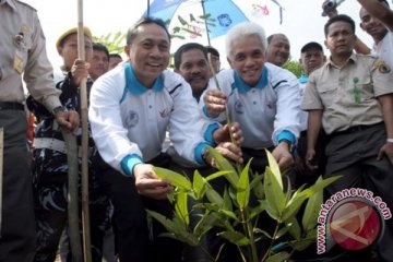 Menhut: 1,6 juta hektar hutan bakau kritis 