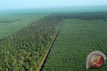Perusahaan dukung perlindungan satu juta hektar lahan