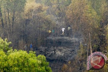 Pendaki sempat terjebak akibat kebakaran hutan Guntur