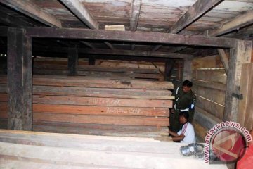 Penangkapan Kayu Illegal