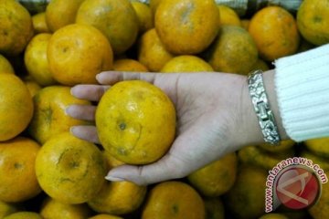 Wamentan: gangguan suplai buah akibat kualitas menurun 