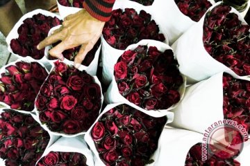 Jelang Valentine, harga mawar membubung di China