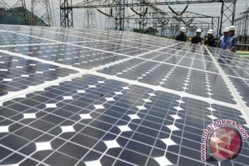 Greenpeace ingatkan pengalihan subsidi BBM untuk energi terbarukan