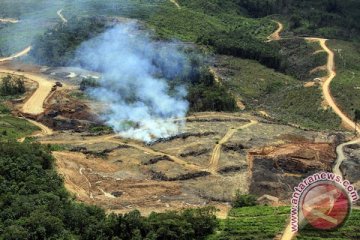 Hutan Asia Tenggara dirambah sejak ribuan tahun lalu