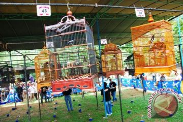 Lomba Burung Berkicau