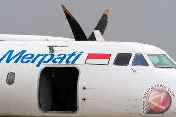 Hatta: pemerintah sulit menalangi Merpati