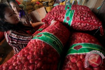 Harga bawang di Kotabaru rp65.000/kg