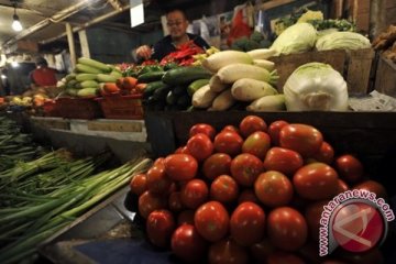 Kementan kembangkan usaha hortikultura skala luas