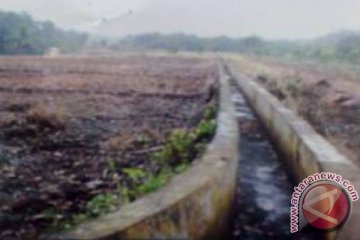 Puluhan hektare sawah di Agam terancam kekeringan