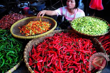 Harga cabe merah keriting sedikit naik