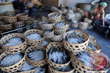 Peningkatan pengolahan ikan