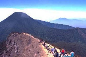 Taman Nasional Gede Pangrango terbakar karena api unggun