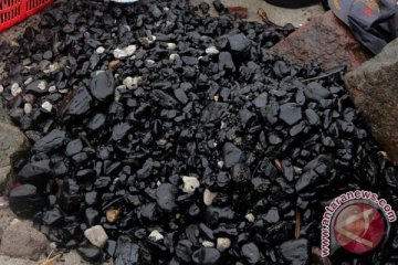 Kolam pelabuhan Pulau Baai tercemar batu bara