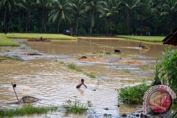 Sungai meluap, ratusan rumah di Pesawaran-Lampung terendam banjir