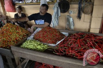 Cabai merah di Dobo melonjak hingga Rp80.000