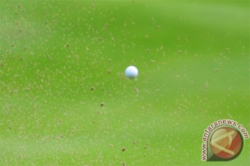 Wakil wali kota Tiongkok dipecat gara-gara main golf