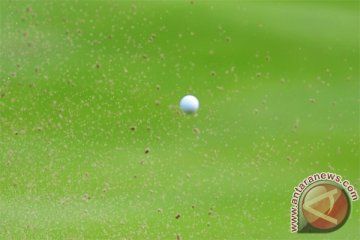 Adam Scott akhiri paceklik gelar dengan menangi turnamen Honda Classic