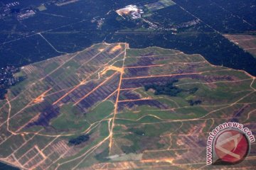 Kerusakan hutan paling parah terjadi zaman reformasi