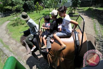 Wisata satwa