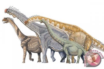 Telah ditemukan Dinosaurus tertua 