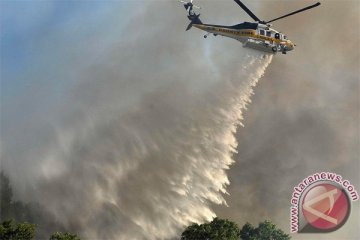 1.200 hektare lahan di California terbakar