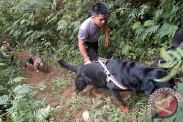 Badan SAR Nasional kerja sama pengoperasian anjing pelacak