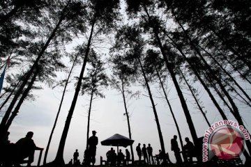 Gubernur Bengkulu pimpin gerakan pungut sampah di Pantai Panjang