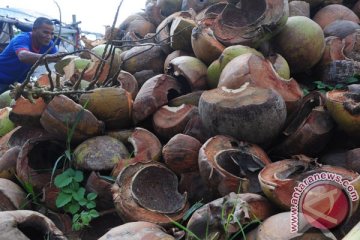 Sulut ekspor sabut kelapa ke Tiongkok