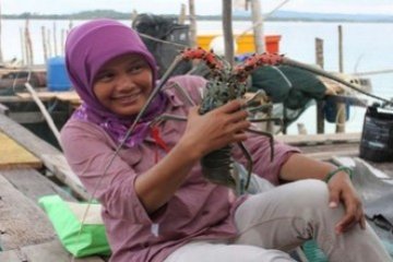 Lobster Natuna