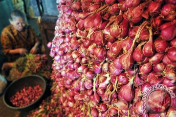 Harga bawang merah di Cirebon kembali naik