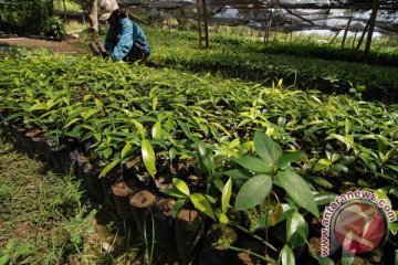 Sultra hijaukan hutan Warangga 