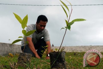 Calon pengantin wajib tanam pohon di Balikpapan