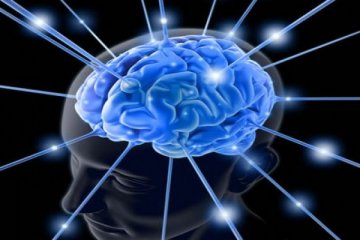 Otak cerdas berawal dari pencernaan sehat