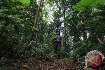 Kemenhut didik calon Polhut dari lima provinsi