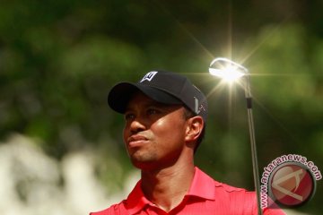 Tiger Woods tidak siap tampil di AS Terbuka