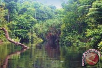 Sungai Batanghari siaga banjir