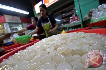 Mahasiswa IPB inovasikan kolang-kaling jadi minuman kesehatan