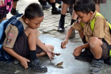 Anak &amp; Satwa