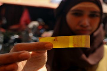 MENGANDUNG BORAKS